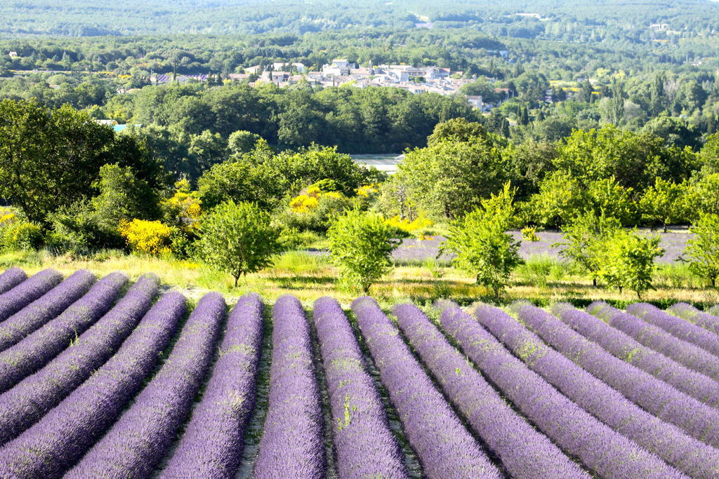 La Bugadiere Salles-sous-Bois Екстер'єр фото