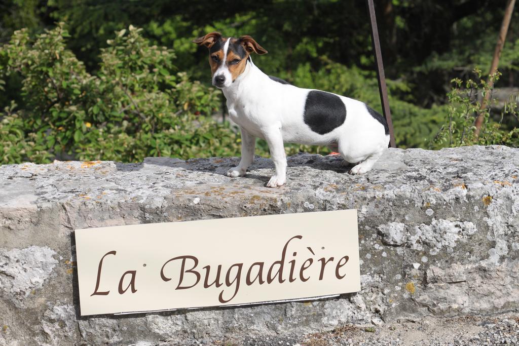 La Bugadiere Salles-sous-Bois Екстер'єр фото